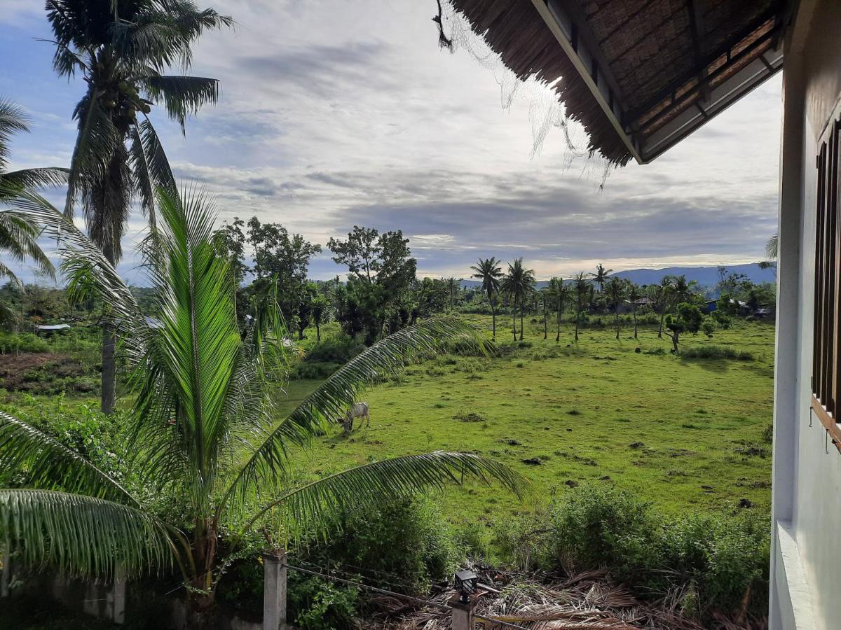 Palmera Palma Top Floor Моалбоал Экстерьер фото